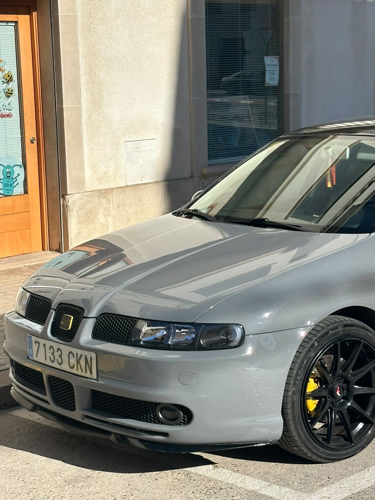 Rejillas antiniebla Seat Leon MK1 FR