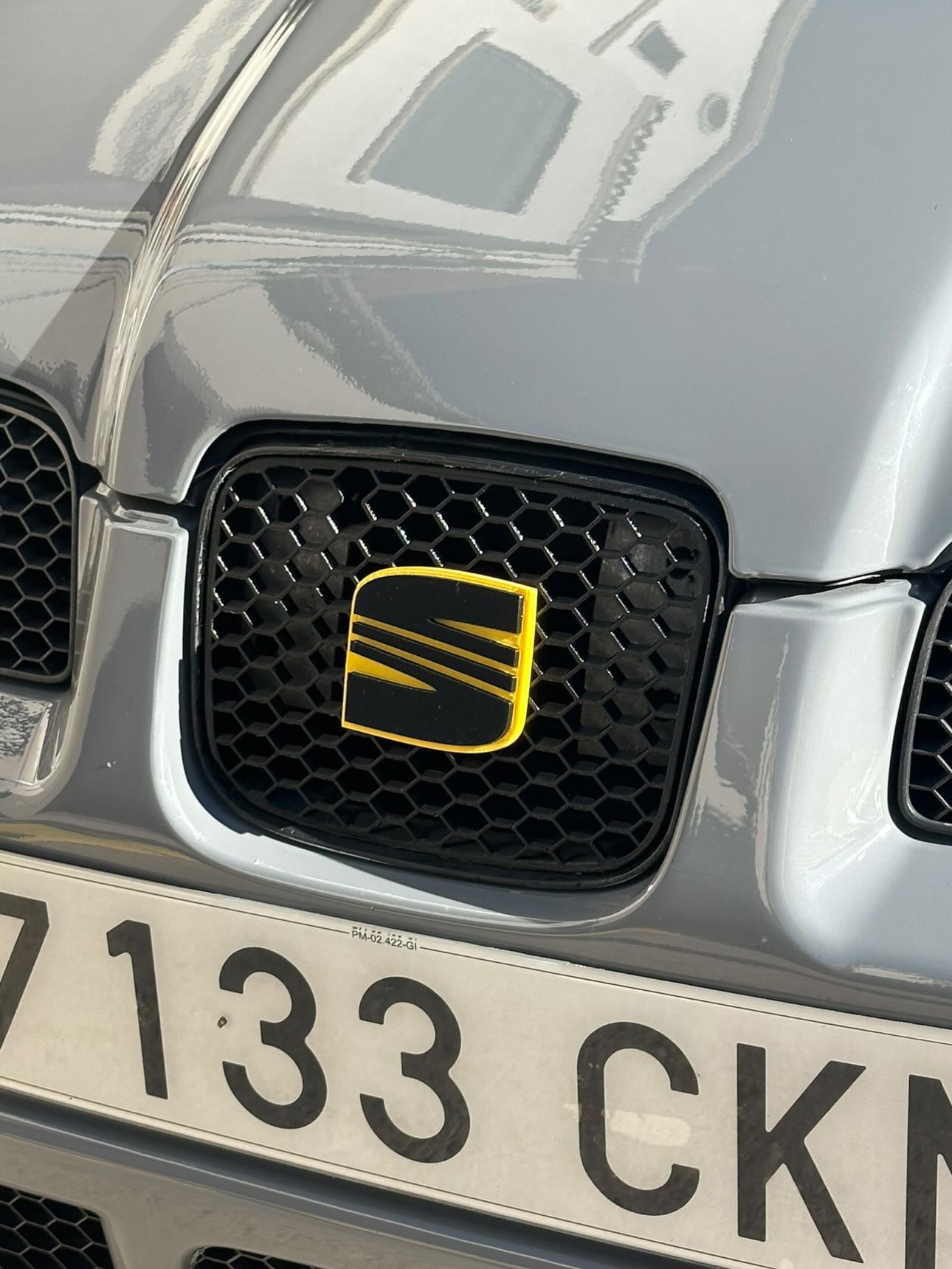 Rejilla frontal Seat Leon MK1