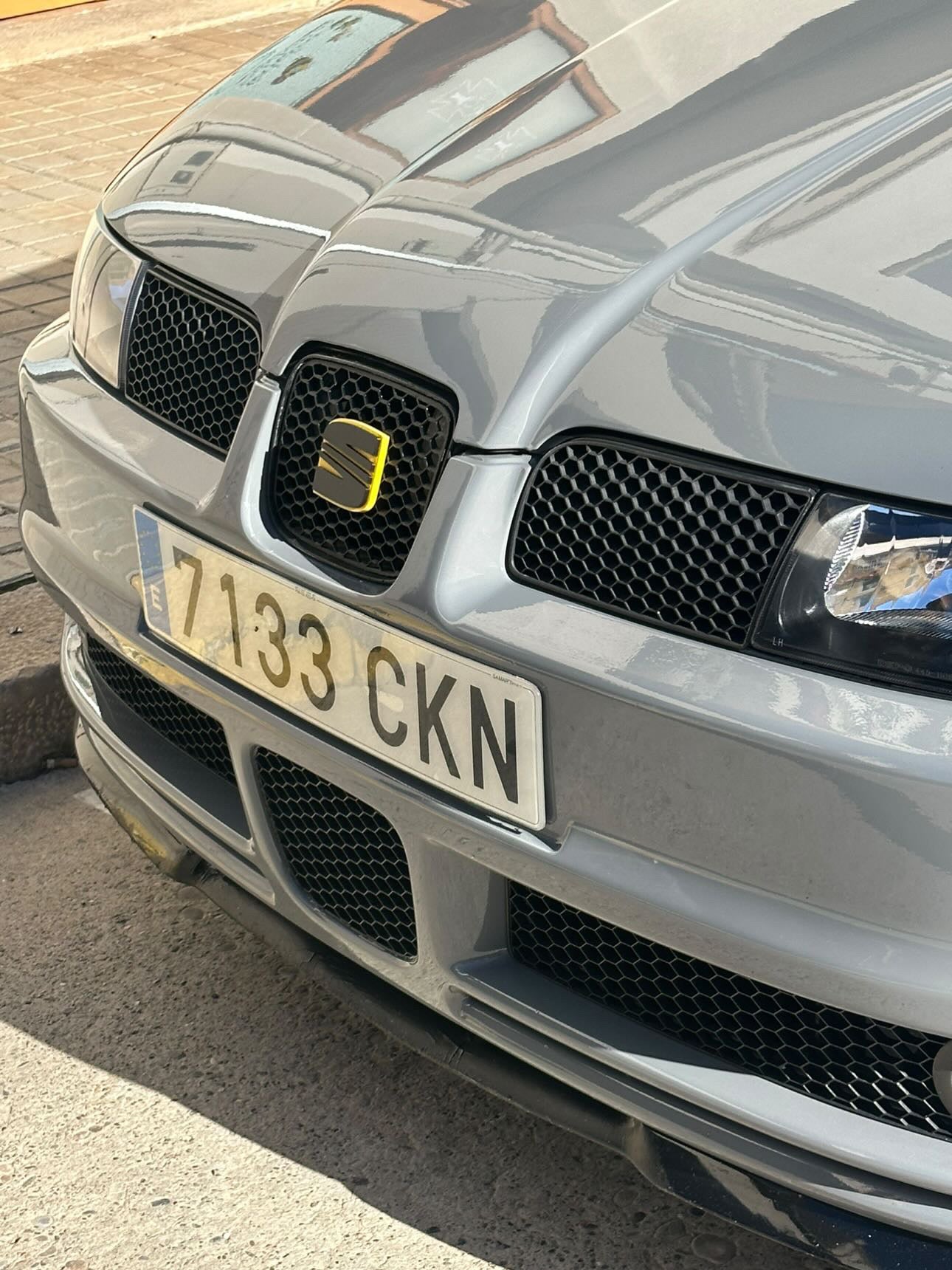 Rejilla frontal Seat Leon MK1