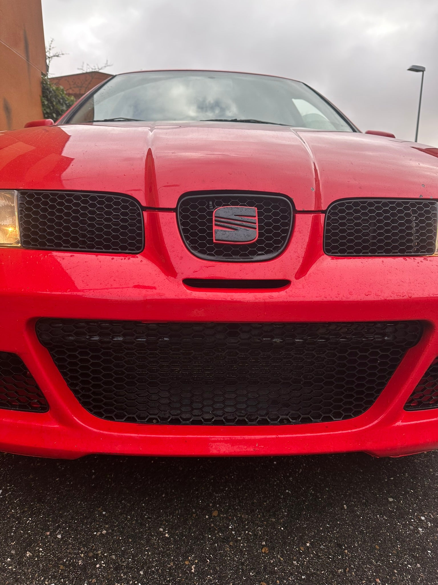 Rejilla inferior Seat Leon MK1 Cupra Grande