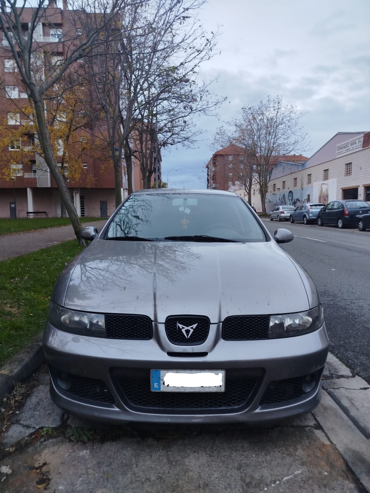 Rejilla inferior Seat Leon MK1 Cupra